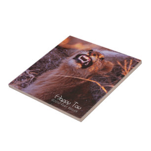 Carreau En Céramique Joyeux Tau