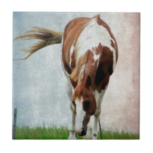 Carreau En Céramique Jument voyante de cheval de peinture
