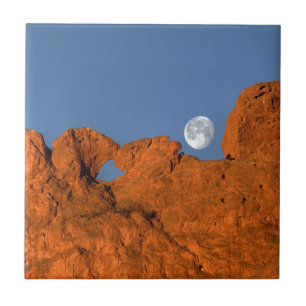 Carreau En Céramique Kissing Camels Rock Formation avec Pleine lune