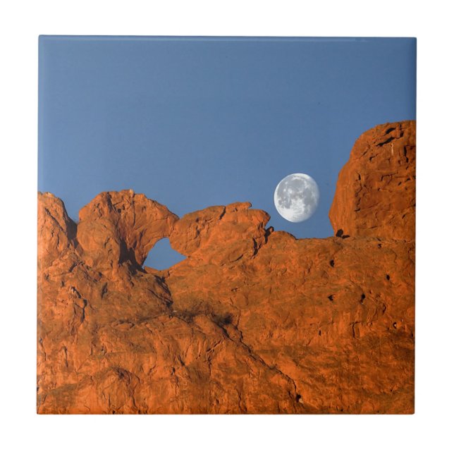 Carreau En Céramique Kissing Camels Rock Formation avec Pleine lune (Devant)