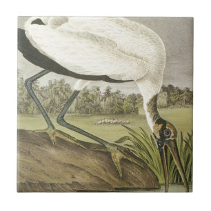 Carreau En Céramique La cigogne en bois d'Audubons
