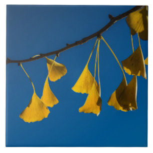 Carreau En Céramique La danse en automne