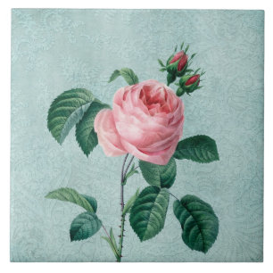Carreau En Céramique La dentelle romantique s'est levée