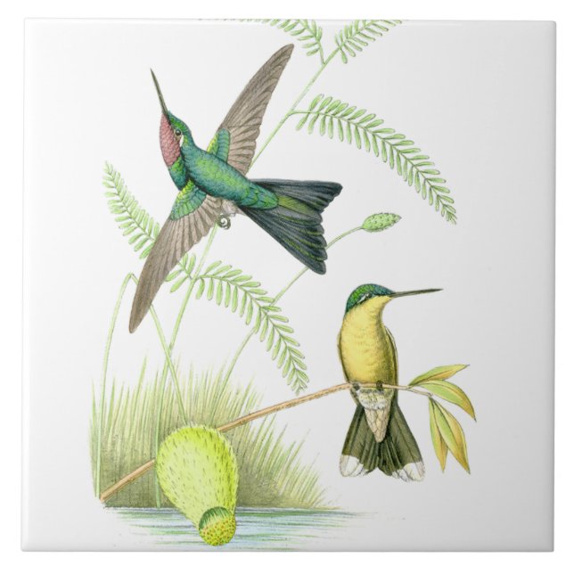 Carreau En Céramique La faune d'oiseaux de colibri fleurit les animaux (Devant)