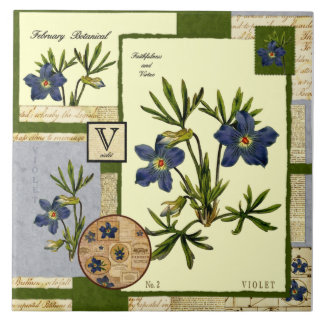 Carreau En Céramique La fleur de février