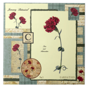 Carreau En Céramique La fleur de janvier