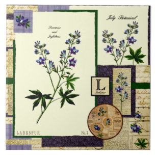 Carreau En Céramique La fleur de juillet