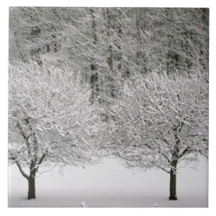 Carreau En Céramique La neige a couvert le paysage