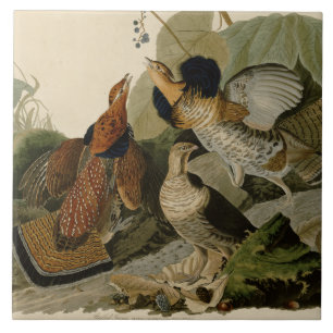 Carreau En Céramique La peinture d'Audubon d'un trio de grouse de