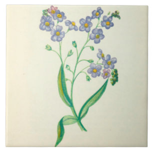 Carreau En Céramique La tuile en céramique de cuisine de fleur sauvage