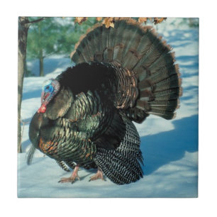 Carreau En Céramique La Turquie Marche Dans La Neige Thanksgiving Noël