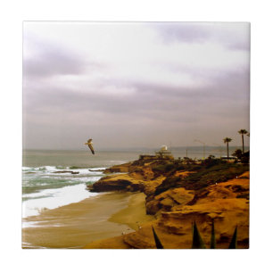 Carreau En Céramique La vie de La Jolla
