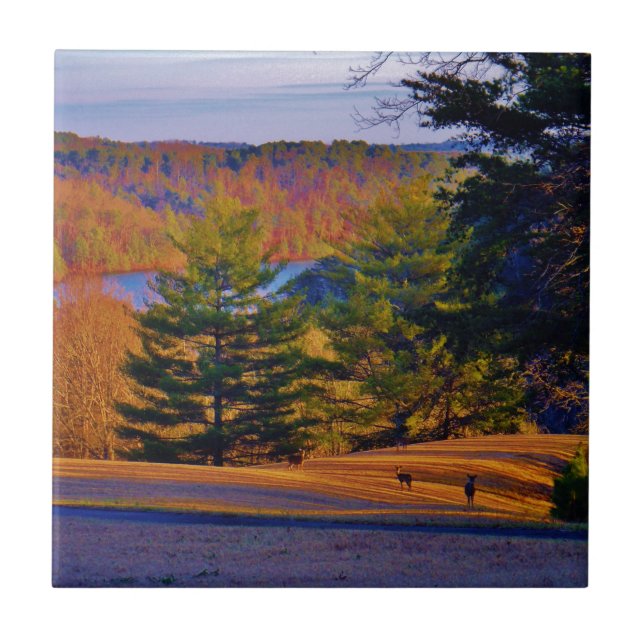 Carreau En Céramique Lac Deer & Mt (Devant)