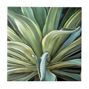 Carreau En Céramique L'Agave Tropical Realism Art