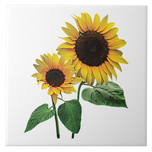 Carreau En Céramique L'amour d'une maman de tournesol (Devant)