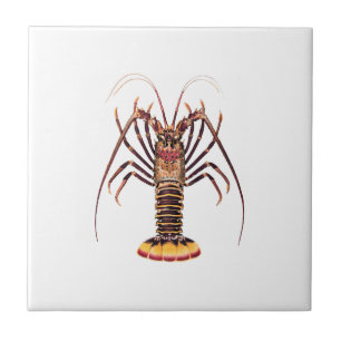 Carreau En Céramique Langouste (de l'Asie et du Pacifique)