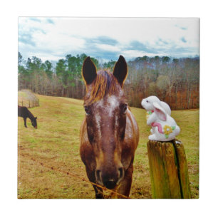 Carreau En Céramique Lapin de Pâques et cheval Brown
