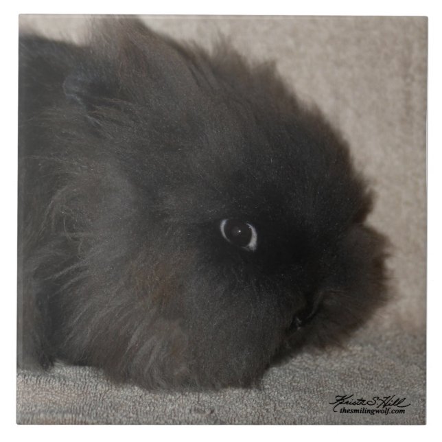 Carreau En Céramique Lapin noir de Lionhead (Devant)