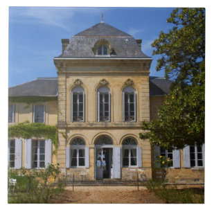 Carreau En Céramique Le bâtiment principal du château, rénové par