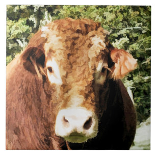 CARREAU EN CÉRAMIQUE LE BULL