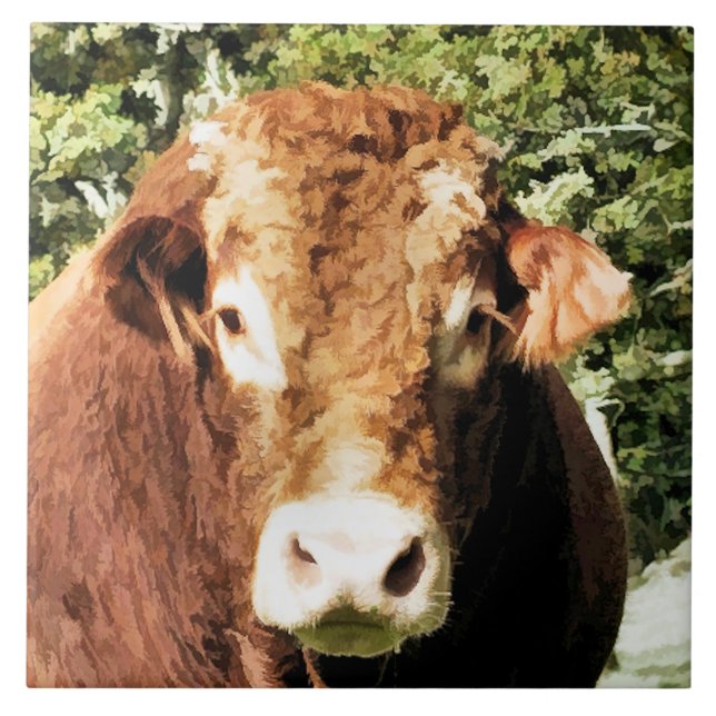 CARREAU EN CÉRAMIQUE LE BULL (Devant)