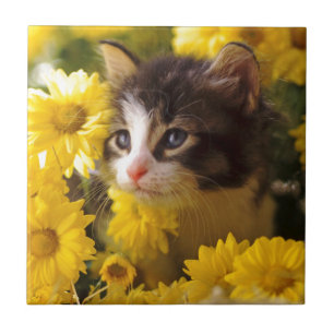 Carreau En Céramique Le chaton renifle les marguerites jaunes