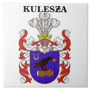 CARREAU EN CÉRAMIQUE LE CREST DE FAMILLE DE KULESZA