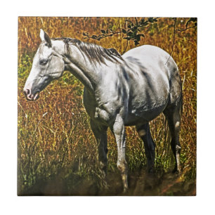 Carreau En Céramique Le design animal équin de l'amateur de chevaux