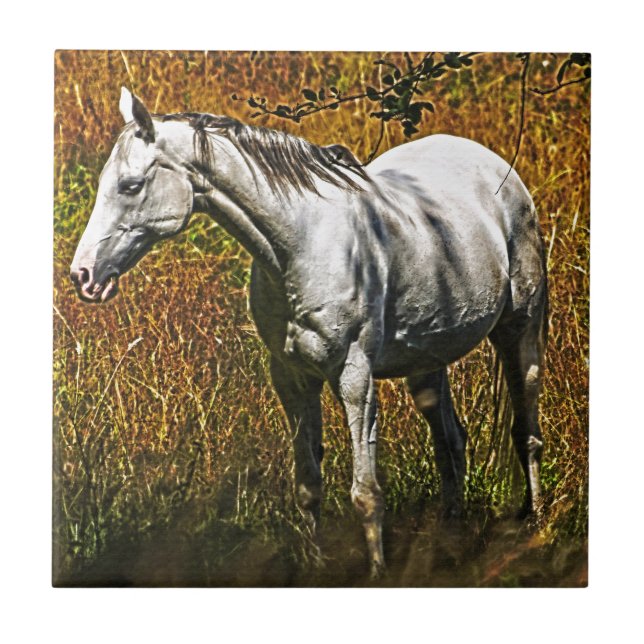 Carreau En Céramique Le design animal équin de l'amateur de chevaux (Devant)