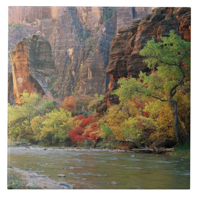 Carreau En Céramique Le feuillage d'automne le long de la rivière Virgi (Devant)