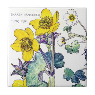 Carreau En Céramique Le fleur sauvage botanique de Ranunculus fleurit