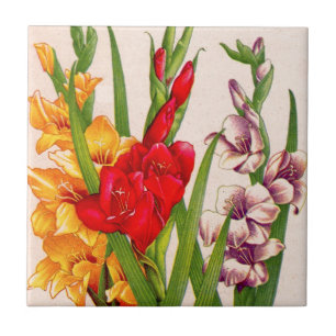 Carreau En Céramique le gladiola fleurit des fleurs de gladioli