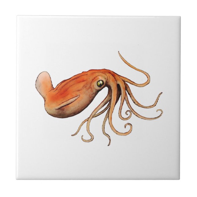 CARREAU EN CÉRAMIQUE LE GRAND (Devant)