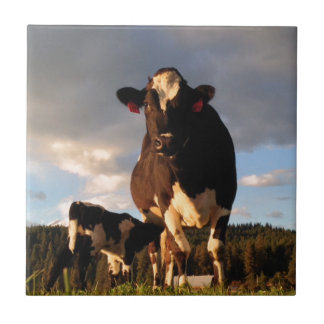 Carreau En Céramique Le lait de la maman