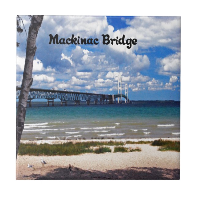 Carreau En Céramique Le Michigan (Devant)