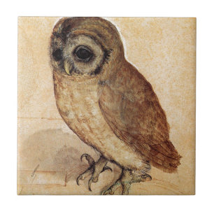 Carreau En Céramique Le petit hibou par Albrecht Durer