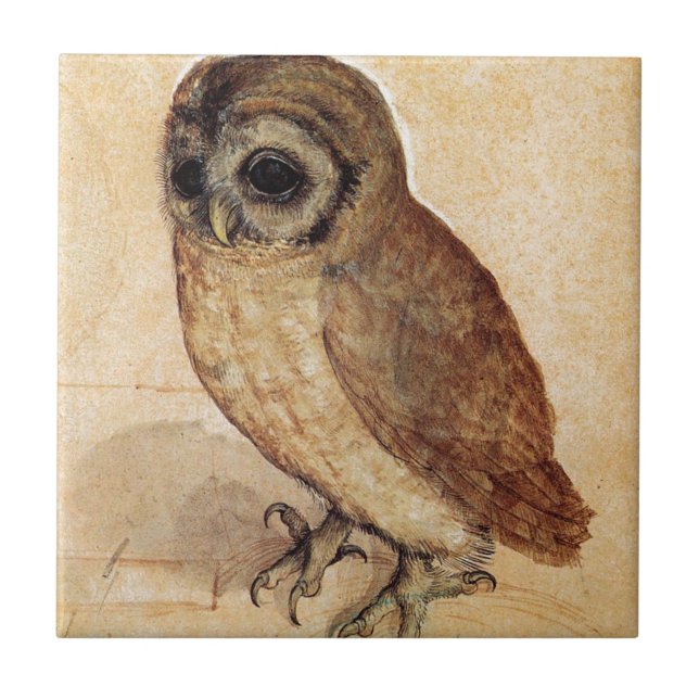 Carreau En Céramique Le petit hibou par Albrecht Durer (Devant)