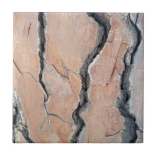 Carreau En Céramique Le pin d'Alep