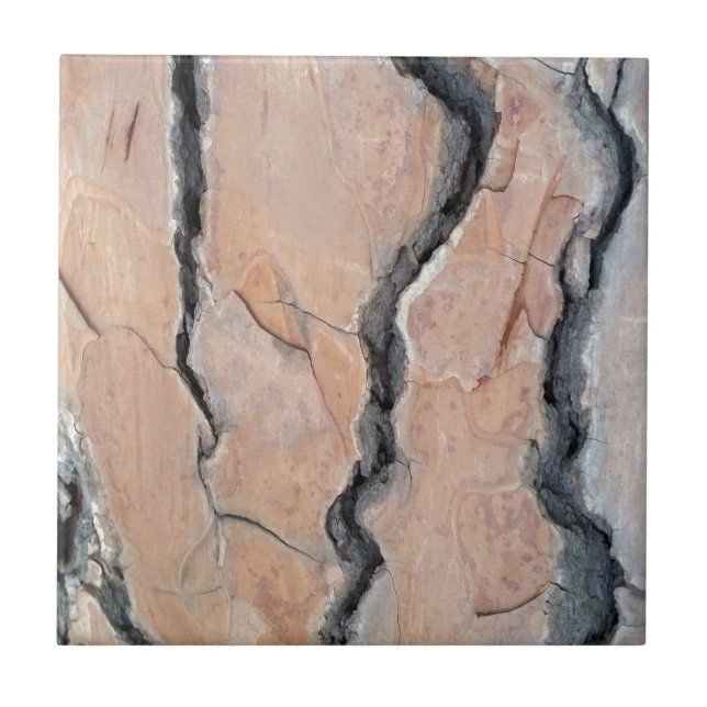 Carreau En Céramique Le pin d'Alep (Devant)