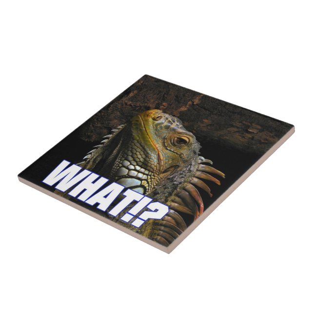 Carreau En Céramique Le Quoi ! ? Iguana (Côté)
