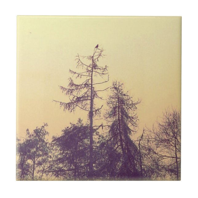 Carreau En Céramique Les arbres et un oiseau (Devant)