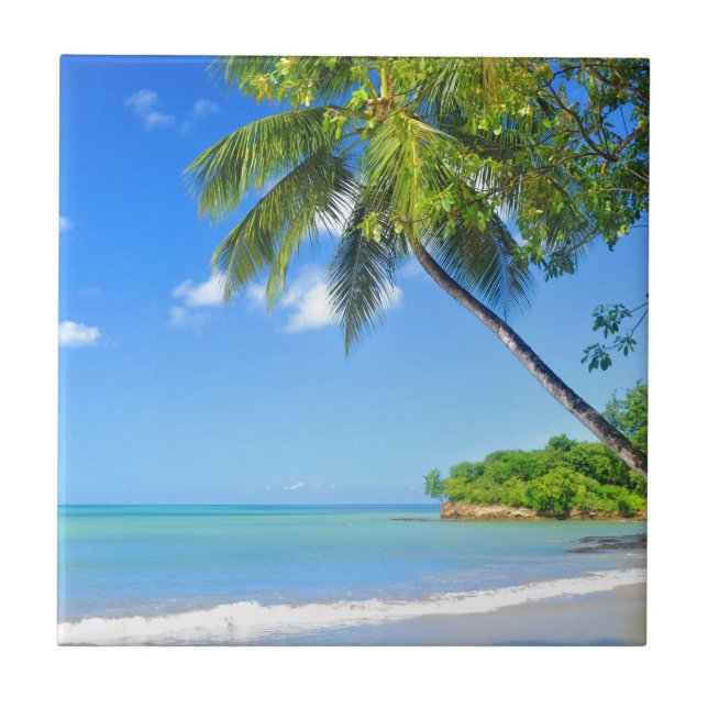 Carreau En Céramique Les Barbade (Devant)