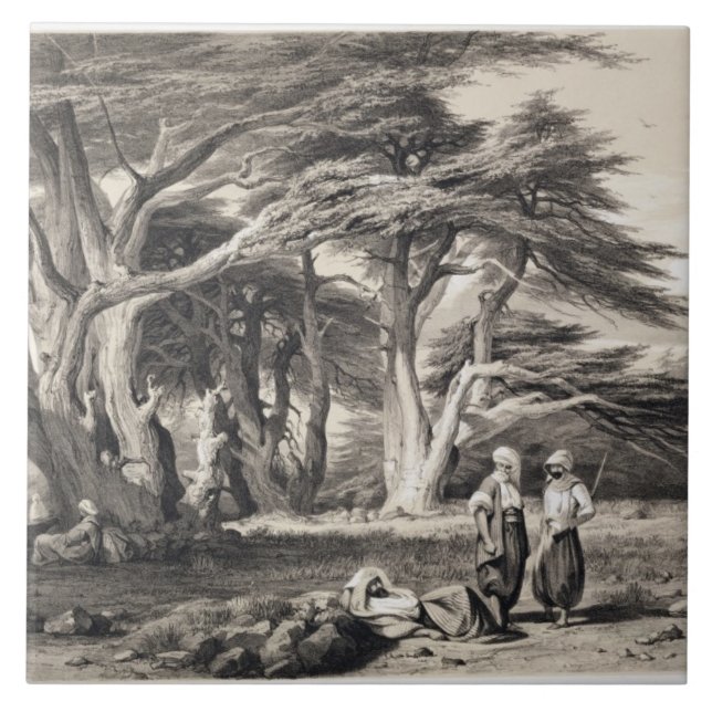 Carreau En Céramique Les cèdres du Liban, gravés par Freeman (sépia (Devant)