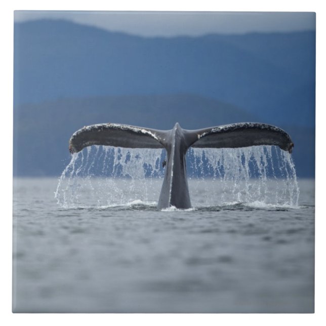 Carreau En Céramique Les Etats-Unis, Alaska, réserve forestière de (Devant)