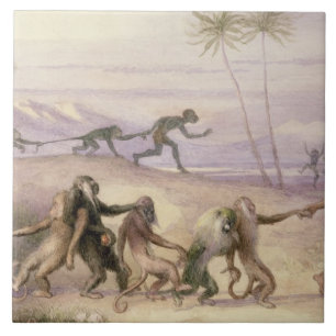 Carreau En Céramique Les façons et les coutumes des singes