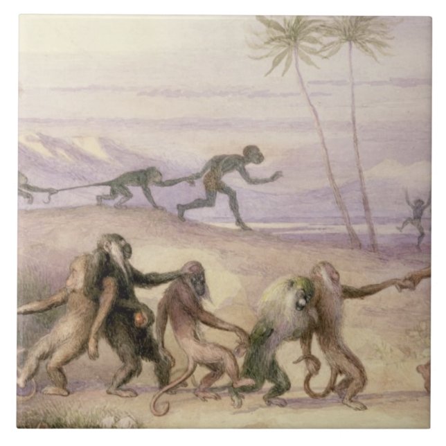 Carreau En Céramique Les façons et les coutumes des singes (Devant)