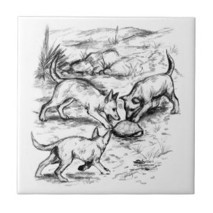 Carreau En Céramique Les petits coyotes