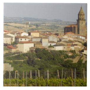 Carreau En Céramique Les rangées de vignes au premier plan encadrent l