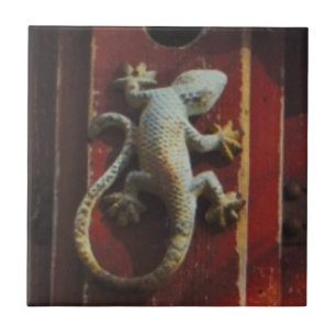 Carreau En Céramique lézard gris sur bois usé