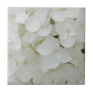 Carreau En Céramique L'hortensia fleurit la fleur élégante blanche